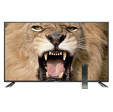 TV NEVIR 43 NVR-7701-43HDSN